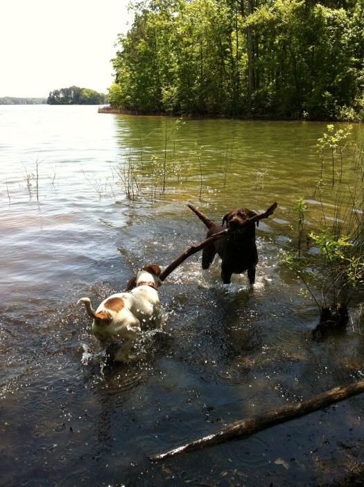 you are master over words you don't say and a slave to the ones you do say