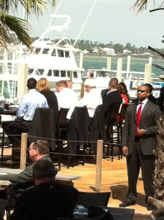 newt on phone in fla