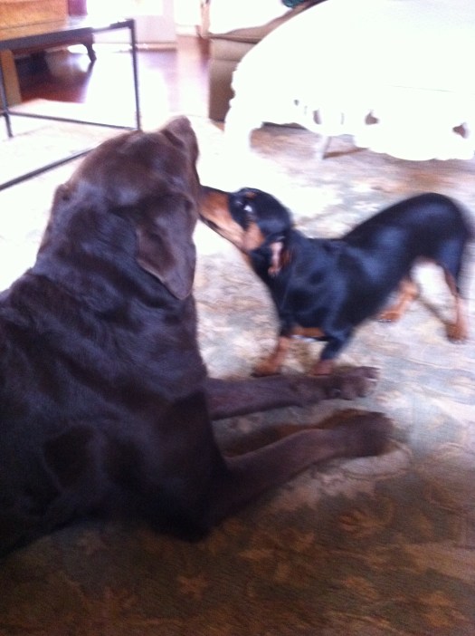 I've lived these twenty years must I suffer for fifty more....Bowie