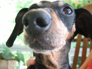 you can have your so called social security, i left my steady job today....I'm going somewhere in Montana big city turn me loose and set me free.........