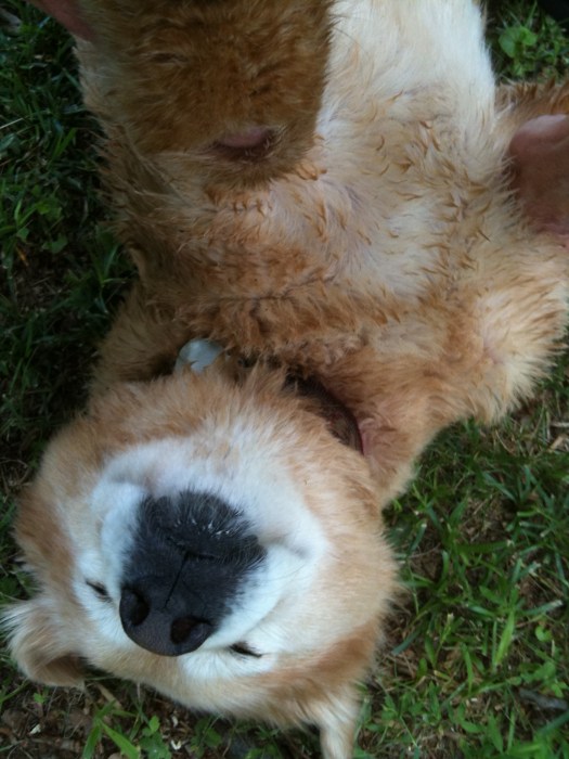 He who burns the midnight oil will earn his way to fame....he that sells the midnight oil will get there just the same.