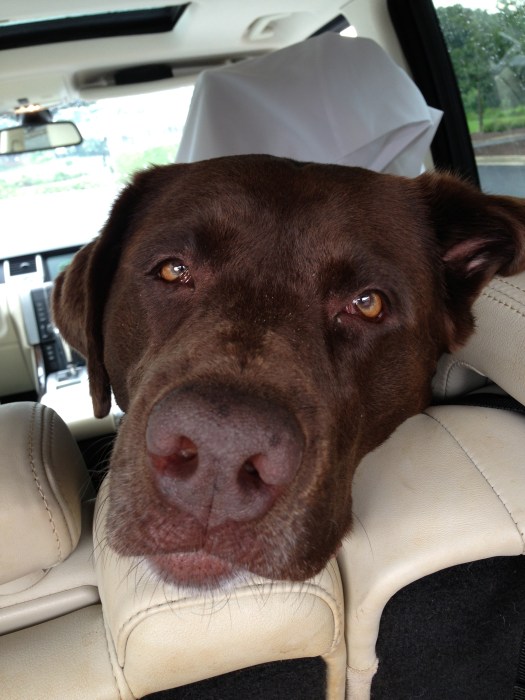 got my feet in the sand and eyes to the sky....put on Sinatra and start to cry