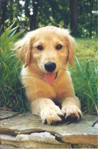 I pictured you walking backwards and that you were coming back home...I pictured you walking away from me and hoping you were not leaving me alone...