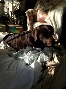 Doing something and messing up can be corrected...nothing can be done with doing nothing.