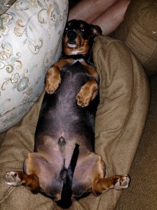 Objects in the mirror are larger than they appear.