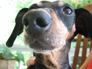 you can have your so called social security, i left my steady job today....I'm going somewhere in Montana big city turn me loose and set me free.........