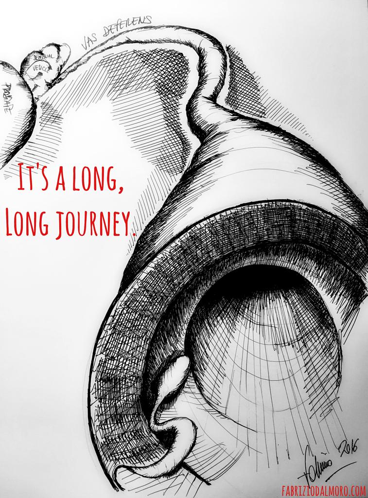 bcb8d013-ef05-4324-a03a-35f94dbec229-large